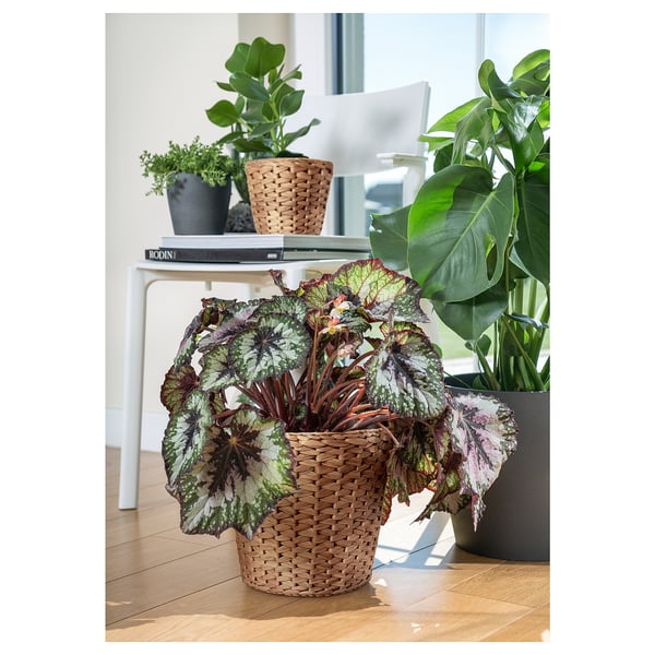 FRIDFULL plant pot, water hyacinth, 24 cm