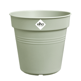 BASICS GREEN GROWING POT 17CM