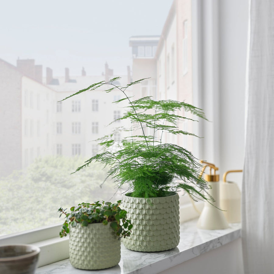 GLACIÄRBJÖRN plant pot, light green, 9 cm