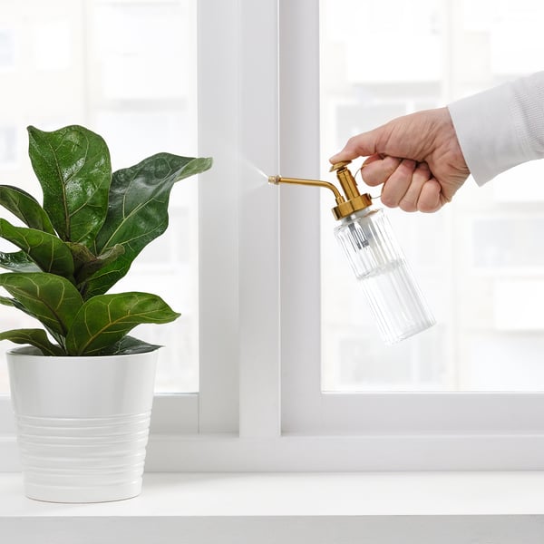 GRADVIS plant mister, clear glass/gold-colour, 15 cl