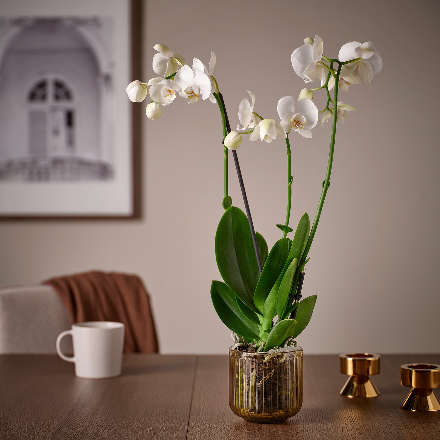 GRADVIS plant pot, in/outdoor/light brown, 11 cm