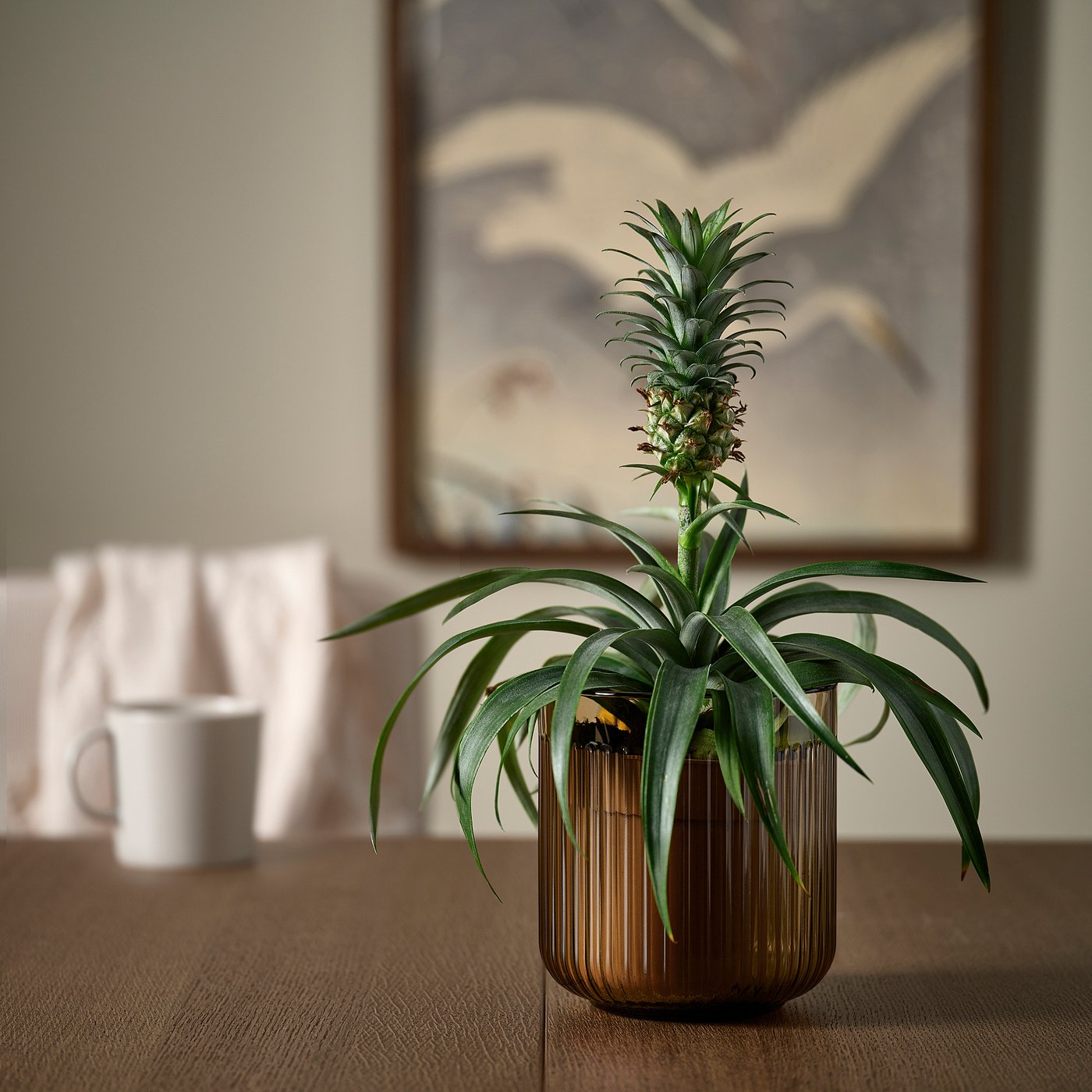 GRADVIS plant pot, in/outdoor/light brown, 12 cm