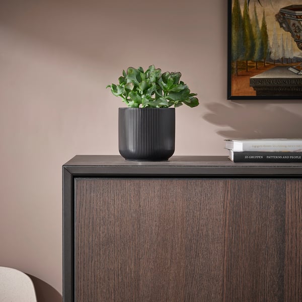 GRADVIS plant pot, in/outdoor black, 12 cm