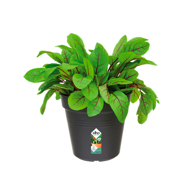 BASIC VASE 19CM BLACK LIVING