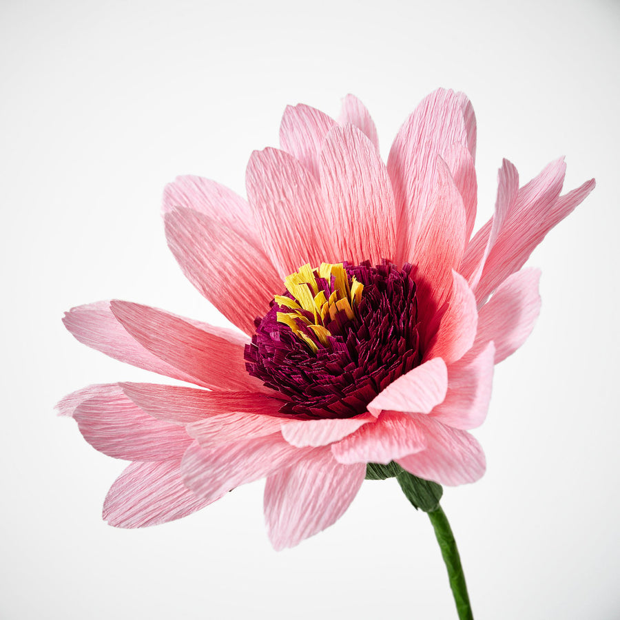 GULDSPETT artificial flower, paper/coneflower pink, 50 cm