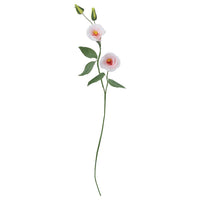 GULDSPETT artificial flower, paper/lisianthus light pink, 55 cm