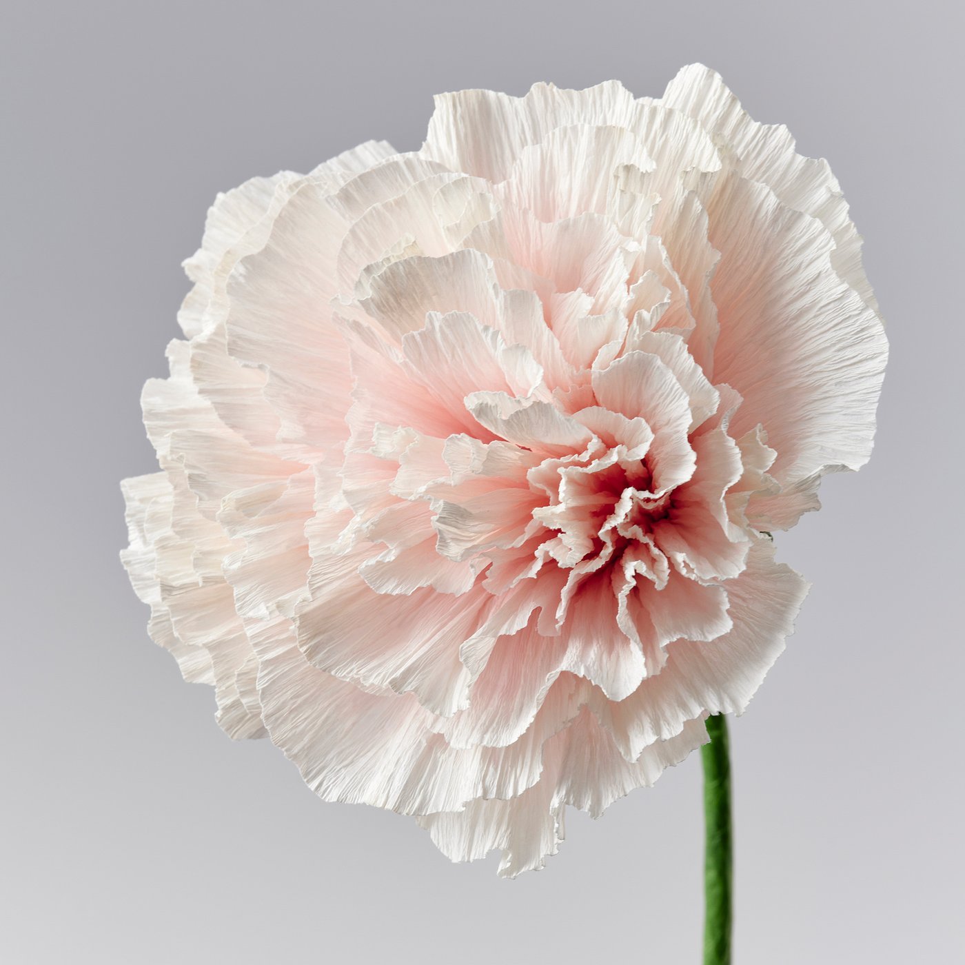 GULDSPETT artificial flower, paper/carnation white, 40 cm