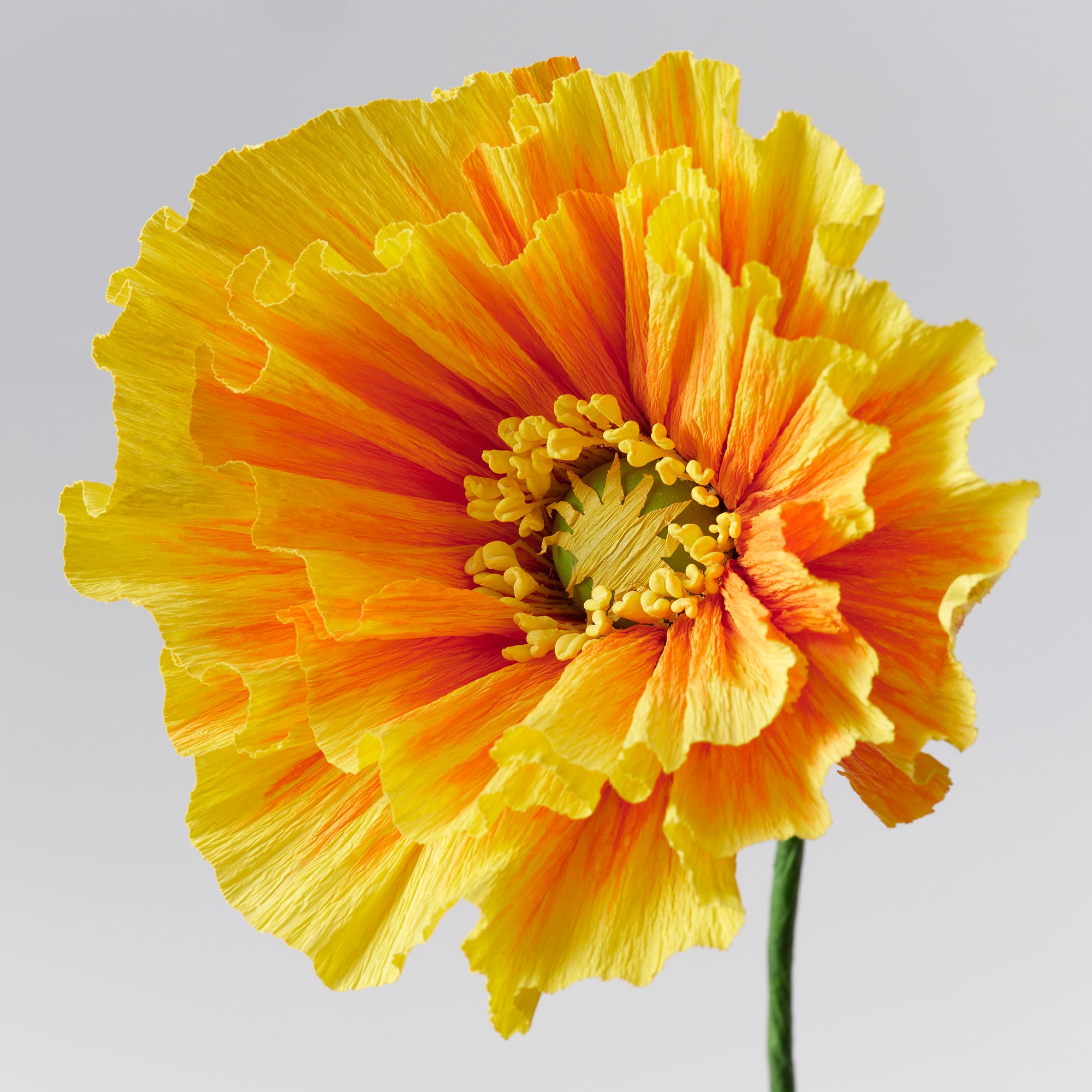 GULDSPETT artificial flower, paper/Poppy orange, 40 cm