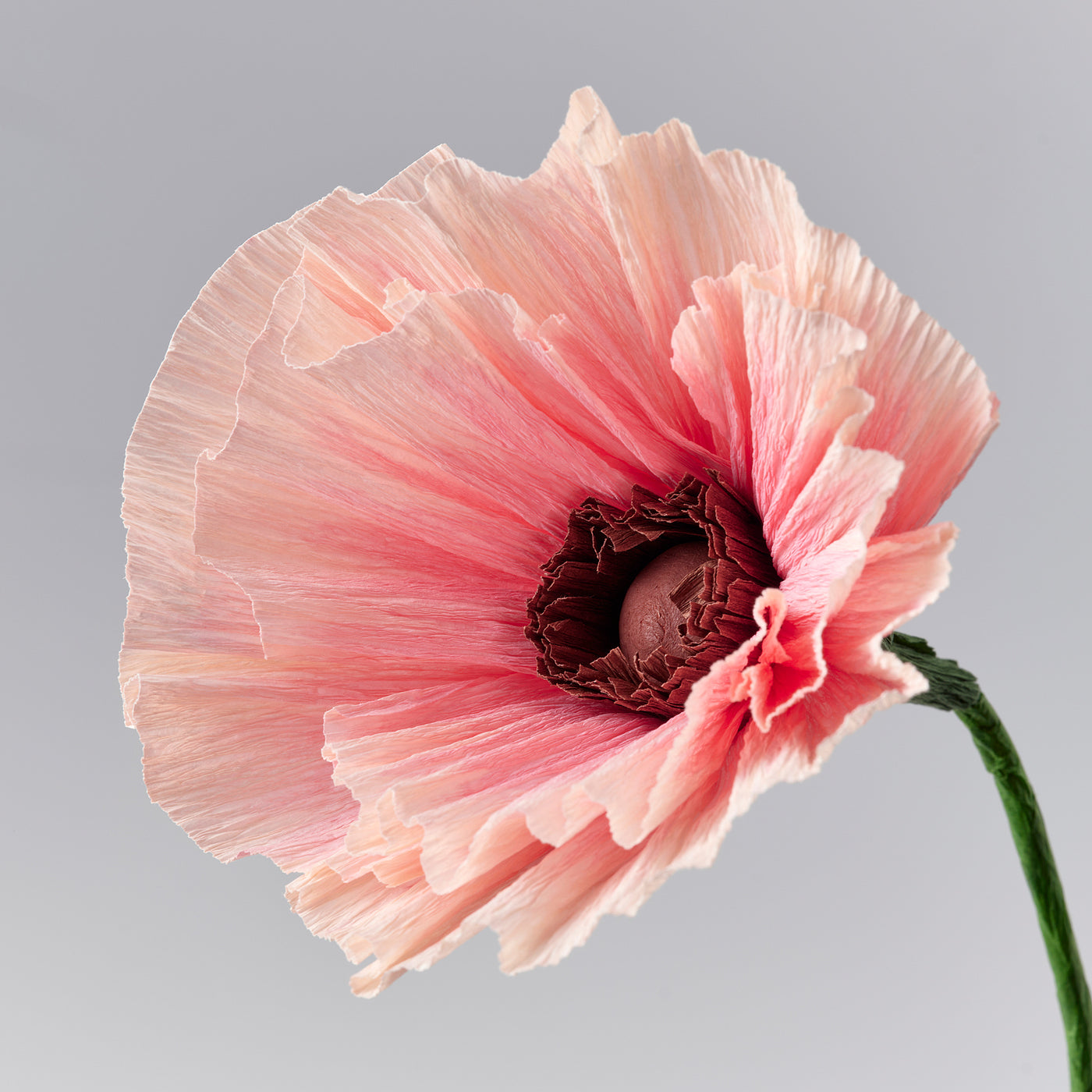 GULDSPETT artificial flower, paper/Poppy pink, 40 cm