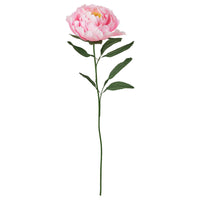 GULDSPETT artificial flower, paper/Peony pink, 50 cm