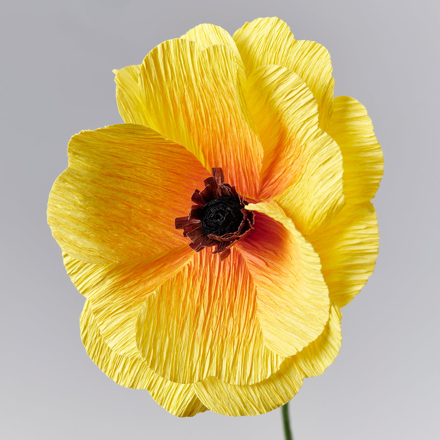 GULDSPETT artificial flower, paper/Ranunculus assorted colours