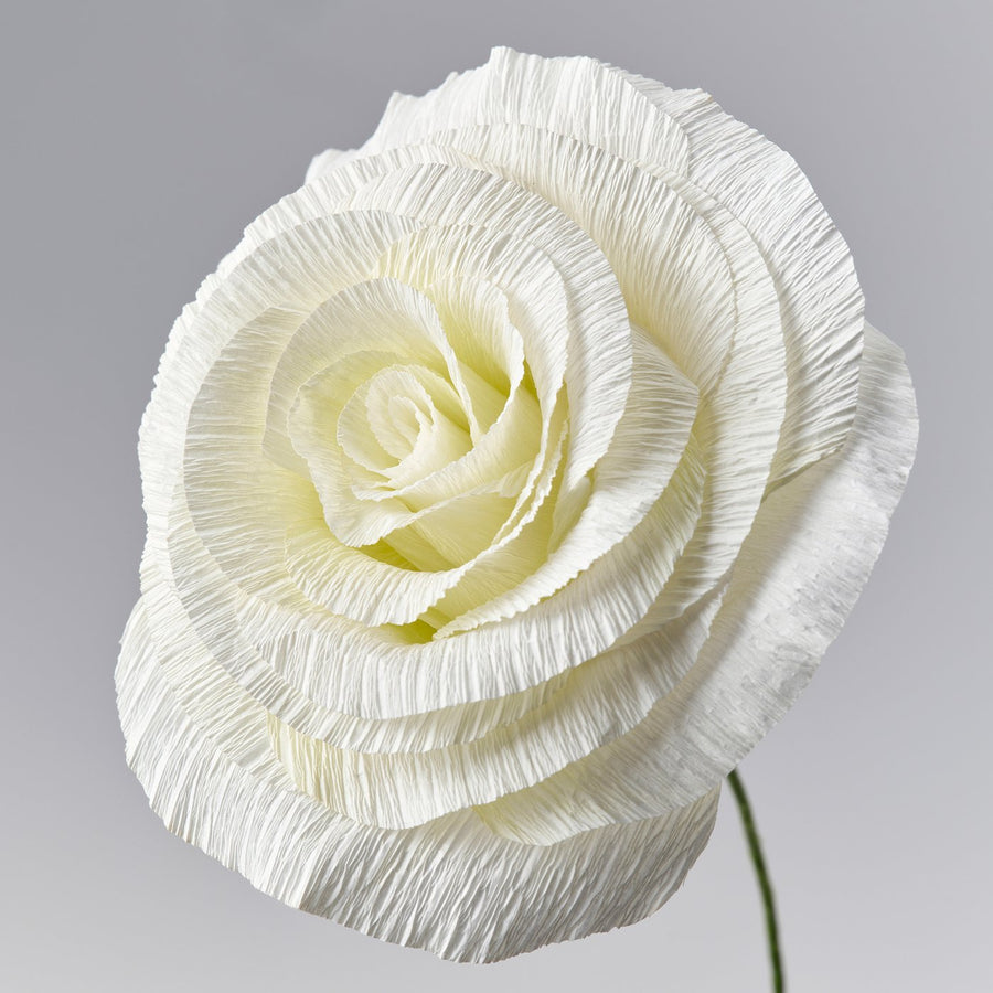 GULDSPETT artificial flower, paper/Rose white, 50 cm