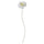 GULDSPETT artificial flower, paper/Rose white, 50 cm