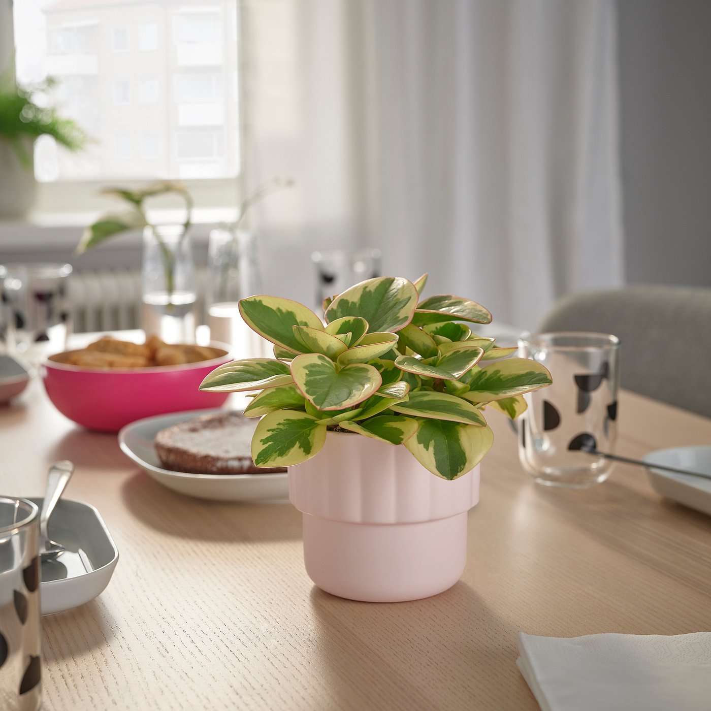 HÄNGSÄLG plant pot, light pink, 9 cm