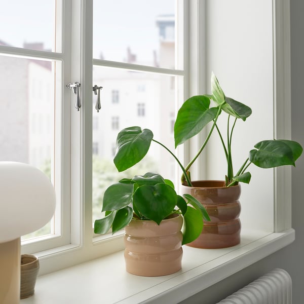 HASSELBUKETT - HASSELBUKETT Plant pot, in/outdoor/beige, 12 cm