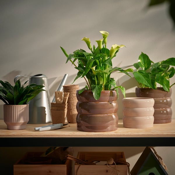 HASSELBUKETT plant pot, in/outdoor/beige, 12 cm