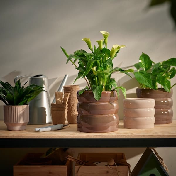 Ikea HASSELBUKETT - Plant pot, in/outdoor/green/brown, 15 cm