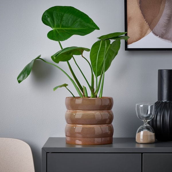 Ikea HASSELBUKETT - Plant pot, in/outdoor/green/brown, 15 cm