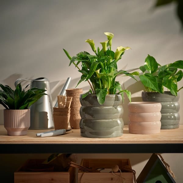 Ikea HASSELBUKETT - Plant pot, in/outdoor/green/brown, 15 cm