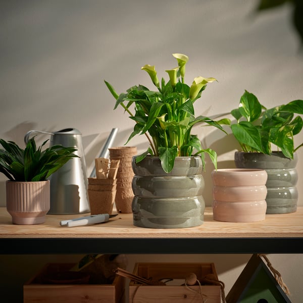 HASSELBUKETT plant pot, in/outdoor/green/brown, 15 cm