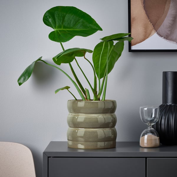 HASSELBUKETT plant pot, in/outdoor/green/brown, 15 cm