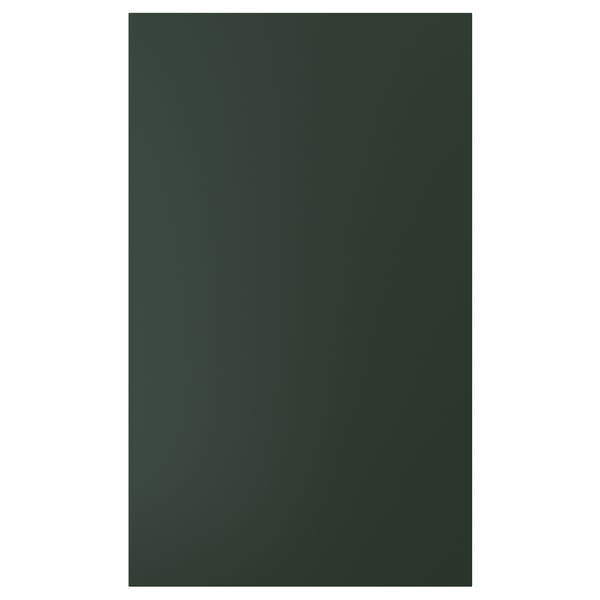 HAVSTORP door, deep green, 60x100 cm