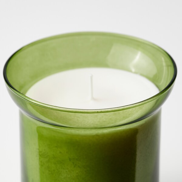 HEDERSAM - Scented candle in glass, Fresh grass/light green, 50 hr