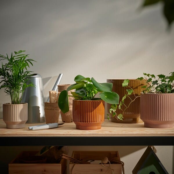 Ikea HONUNGSPALM - Plant pot, in/outdoor/beige, 9 cm