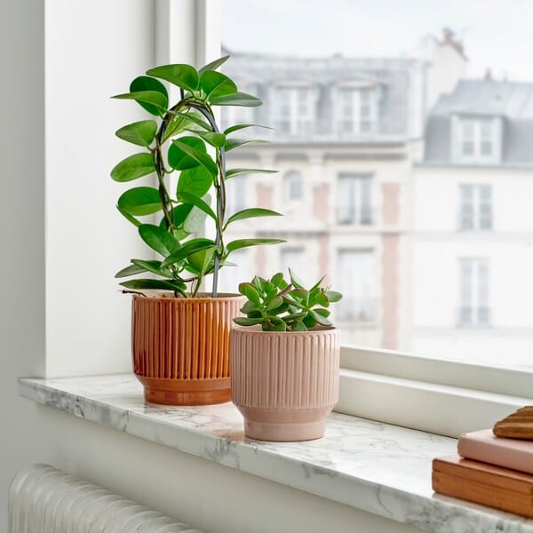 Ikea HONUNGSPALM - Plant pot, in/outdoor/beige, 9 cm