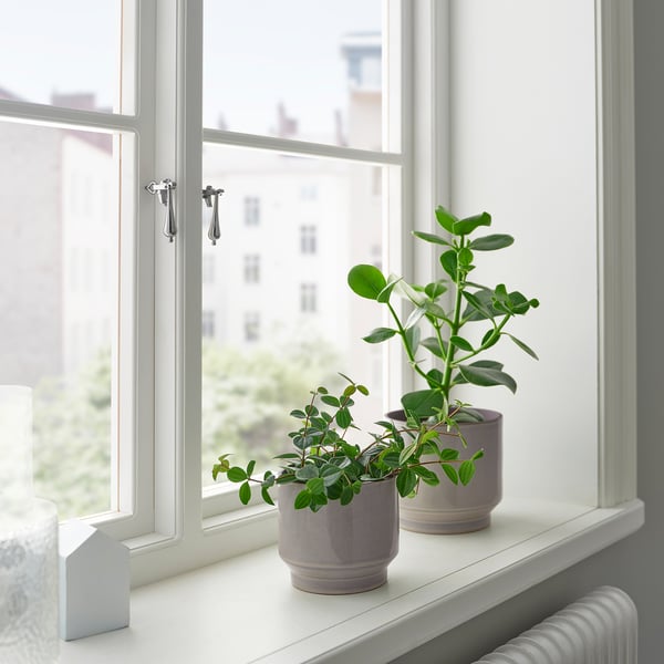 HONUNGSPALM - HONUNGSPALM Plant pot, in/outdoor/grey/beige, 15 cm