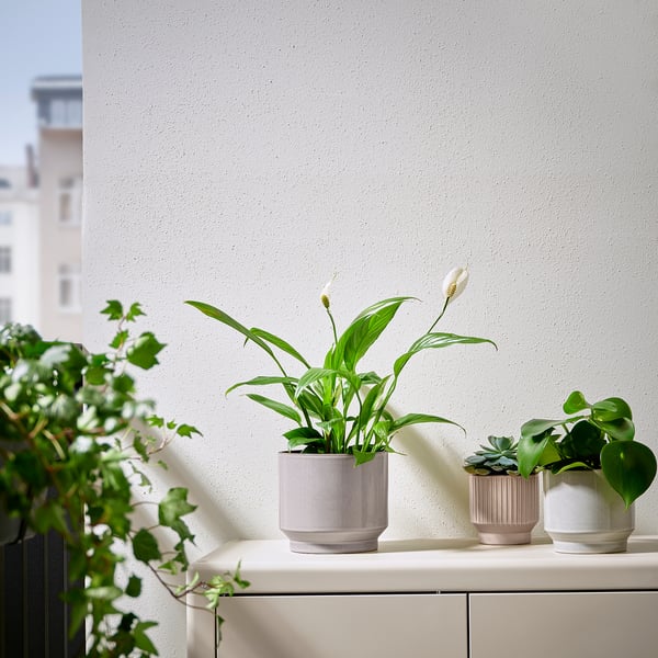 HONUNGSPALM - HONUNGSPALM Plant pot, in/outdoor/grey/beige, 15 cm
