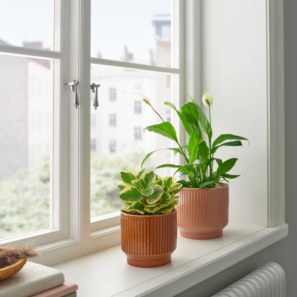 HONUNGSPALM plant pot, in/outdoor/brown, 12 cm