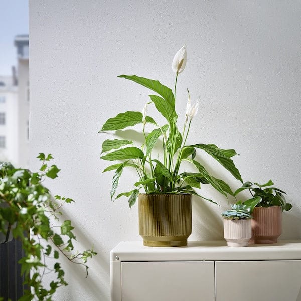 Ikea HONUNGSPALM - Plant pot, in/outdoor/green, 19 cm