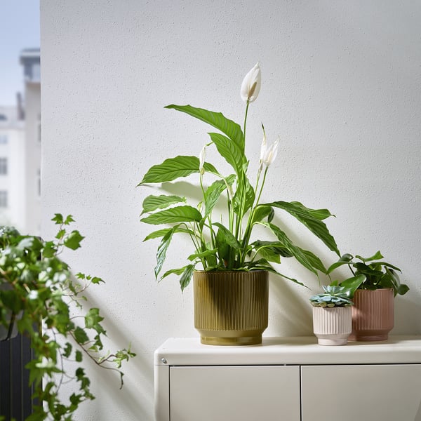 HONUNGSPALM plant pot, in/outdoor/green, 19 cm