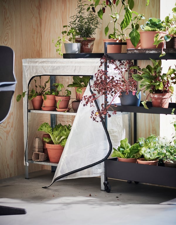 HYLLIS cover, transparent/in/outdoor, 60x27x74 cm