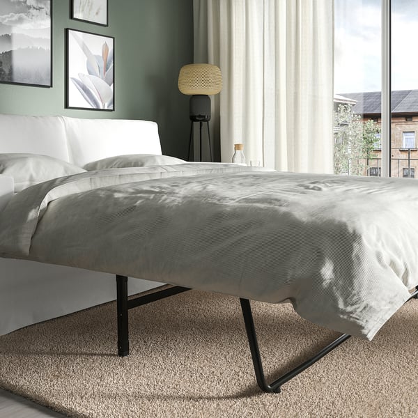 HYLTARP - 2-seater sofa bed, Hallarp white ,