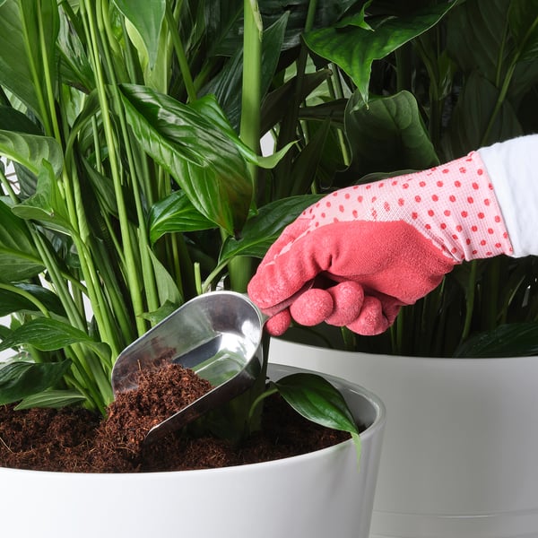 IKEA 365+ scoop set of 2, metal