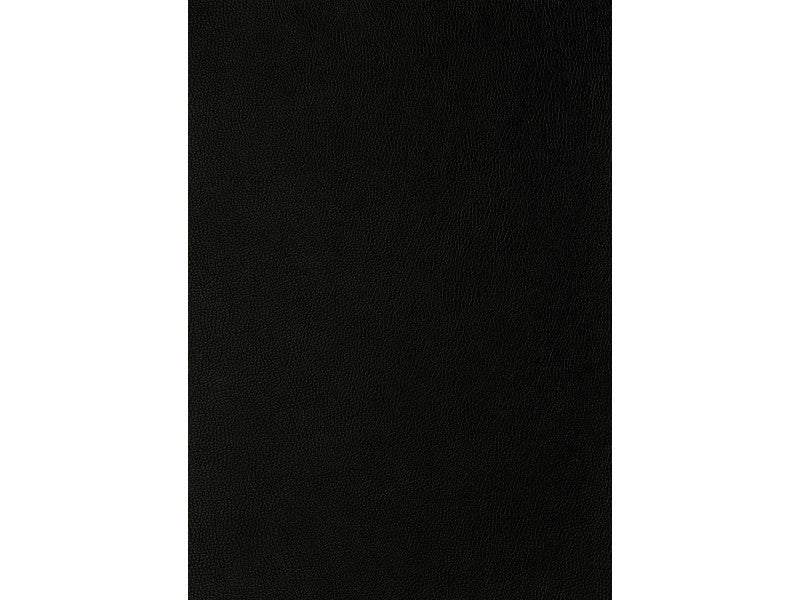 Faux Leather Skai Black H 138