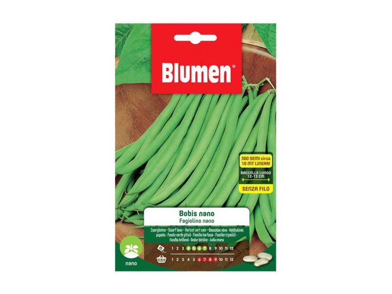 DWARF BOBIS GREEN BEANS