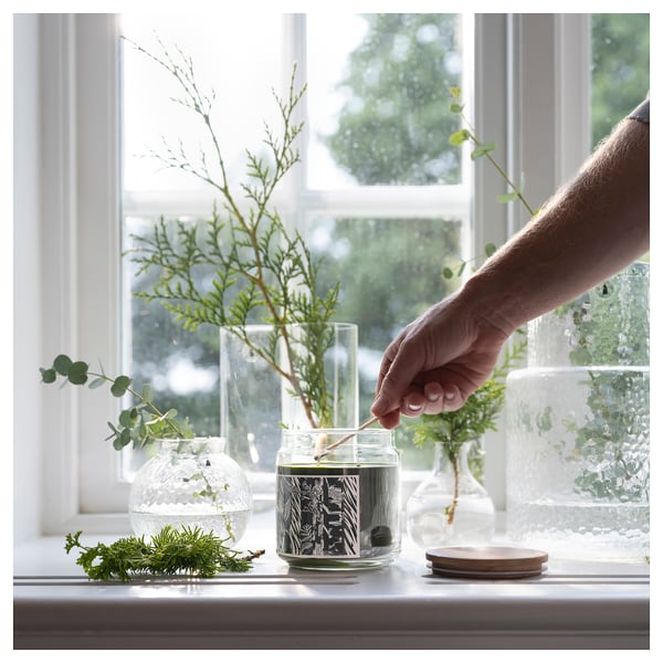 JÄMTSKOGEN scented candle/glass w lid/2 wicks, cypress & eucalyptus/dark green, 70 hr