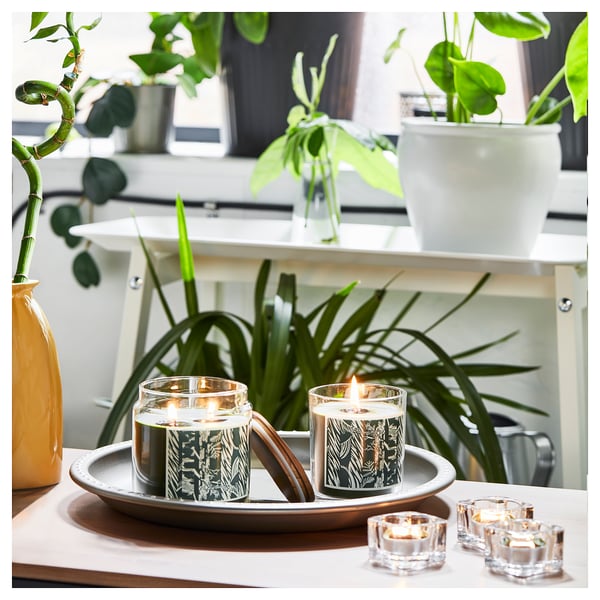 JÄMTSKOGEN - Scented candle/glass w lid/2 wicks, cypress & eucalyptus/dark green, 70 hr