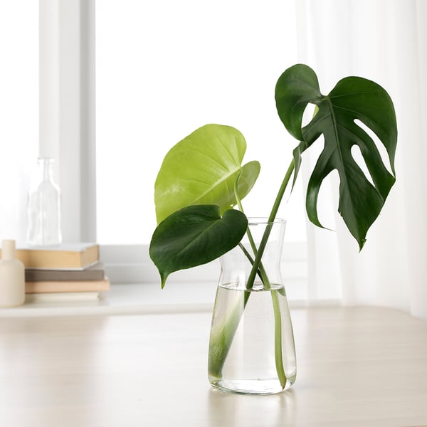 KARAFF carafe, clear glass, 1.0 l