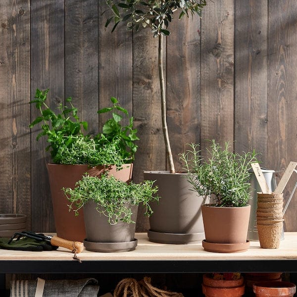 Ikea KLARBÄR - Plant pot with saucer, in/outdoor grey-brown, 15 cm