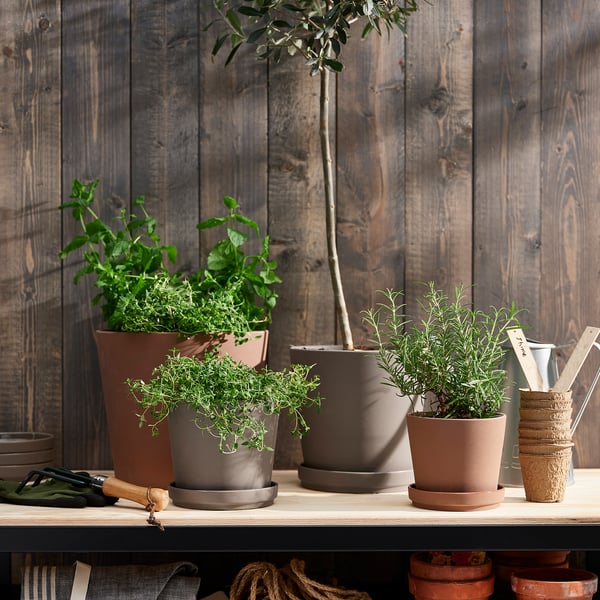 KLARBÄR - KLARBÄR Plant pot with saucer, in/outdoor grey-brown, 15 cm