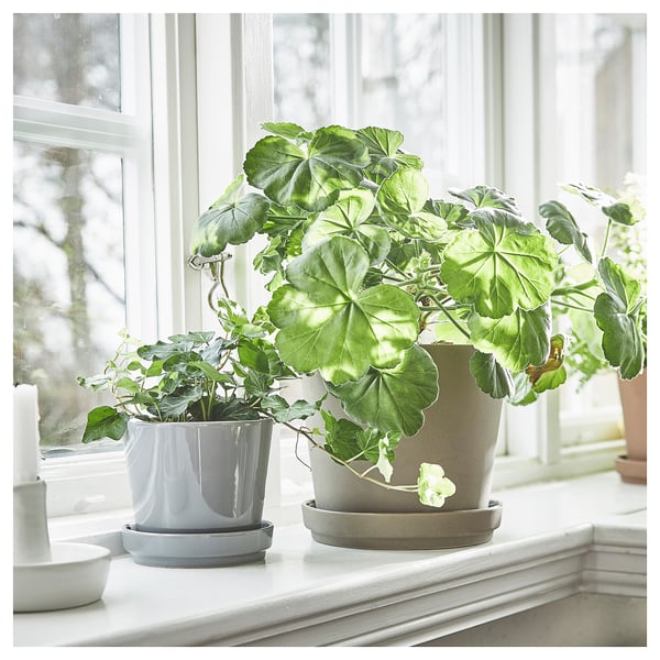 KLARBÄR - KLARBÄR Plant pot with saucer, in/outdoor grey-brown, 15 cm
