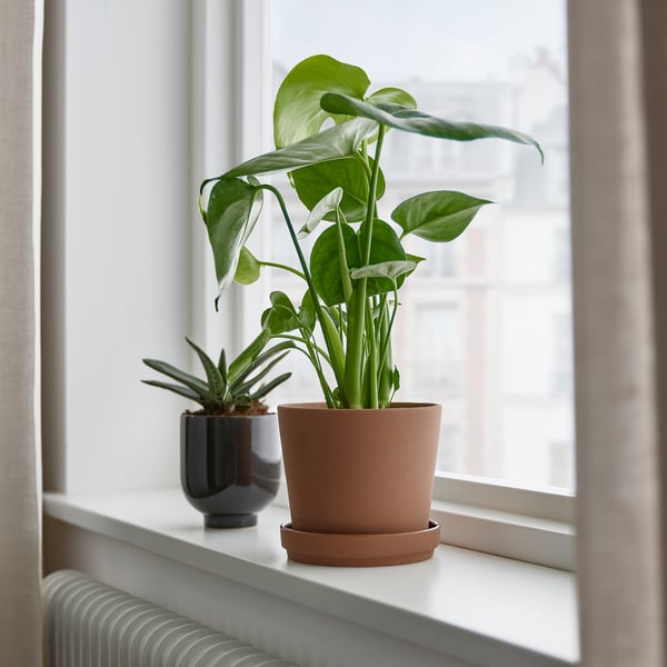 KLARBÄR plant pot with saucer, in/outdoor brown, 12 cm