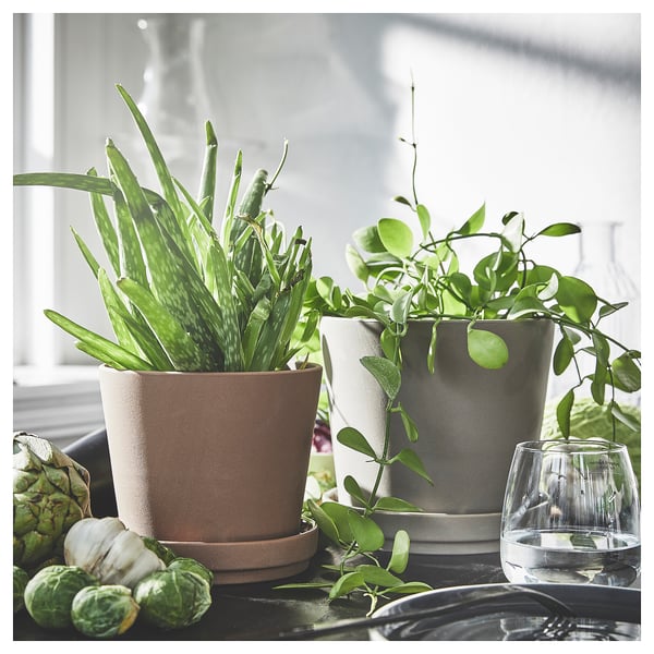 KLARBÄR plant pot with saucer, in/outdoor brown, 12 cm