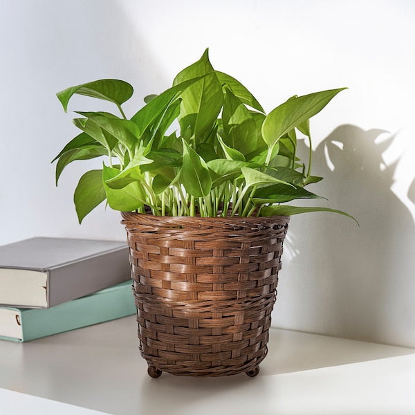 KLIBBAL - Plant pot, brown, 15 cm