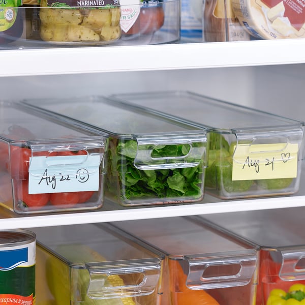 KLIPPKAKTUS - KLIPPKAKTUS Storage box for fridge, transparent, 32x10x8 cm