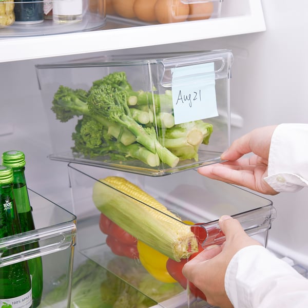 KLIPPKAKTUS storage box for fridge, transparent, 32x14x14 cm